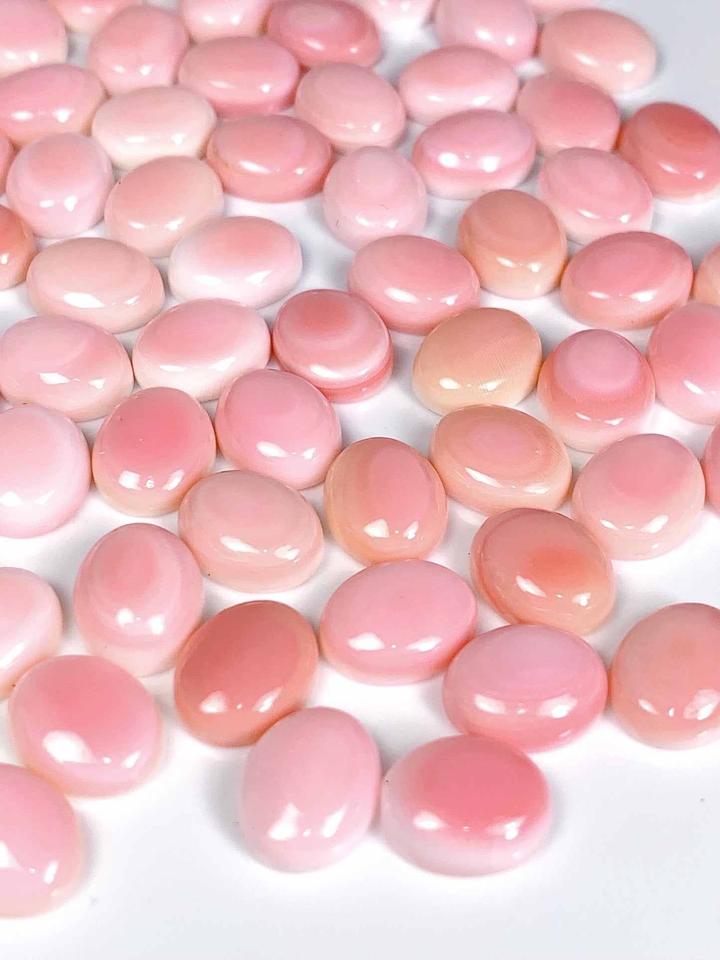 10mmx8mm  Genuine Natural Queen conch  Loose Gems Gemstone  Smooth Round cut