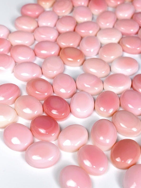 10mmx8mm  Genuine Natural Queen conch  Loose Gems Gemstone  Smooth Round cut