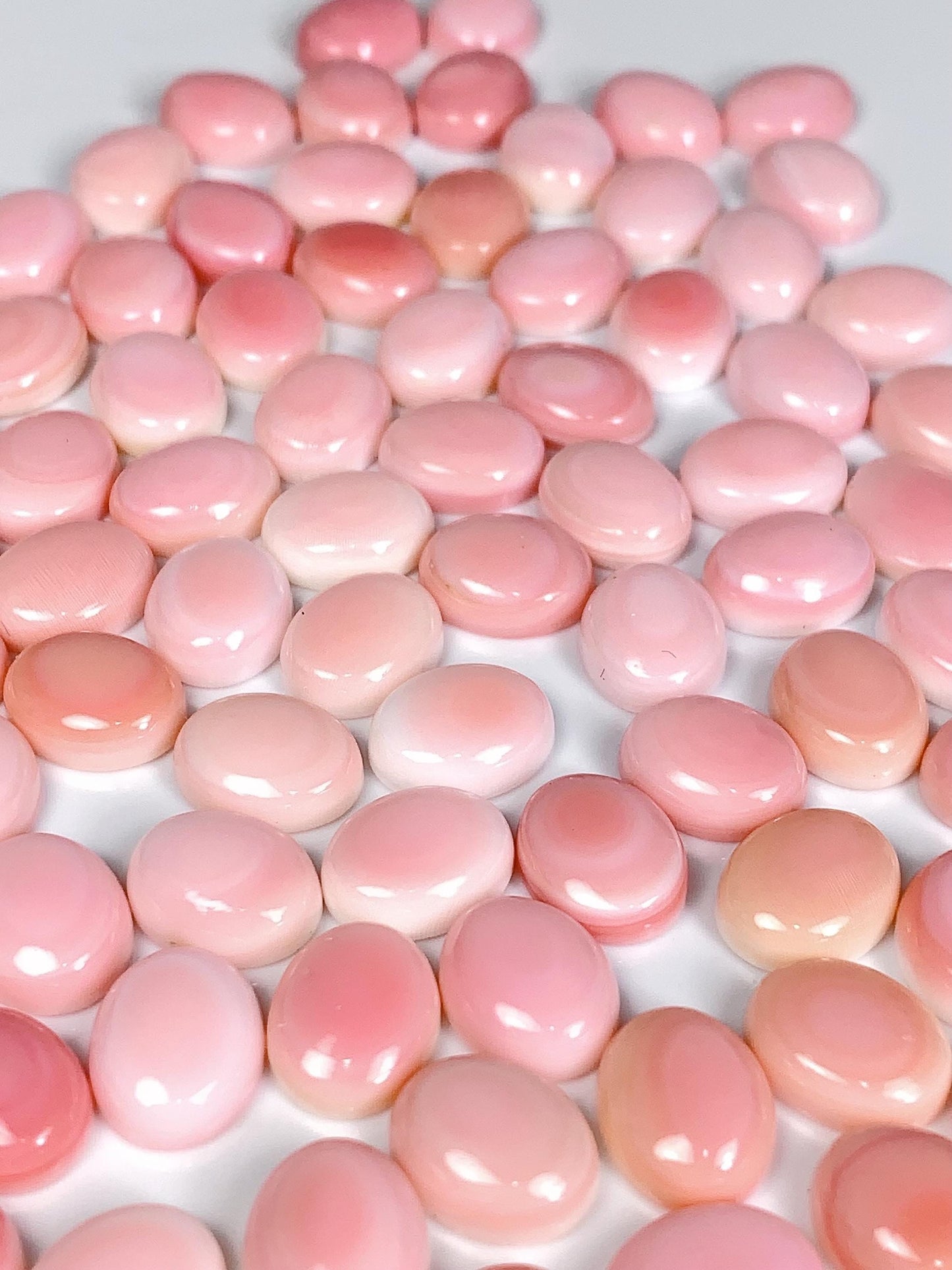 10mmx8mm  Genuine Natural Queen conch  Loose Gems Gemstone  Smooth Round cut