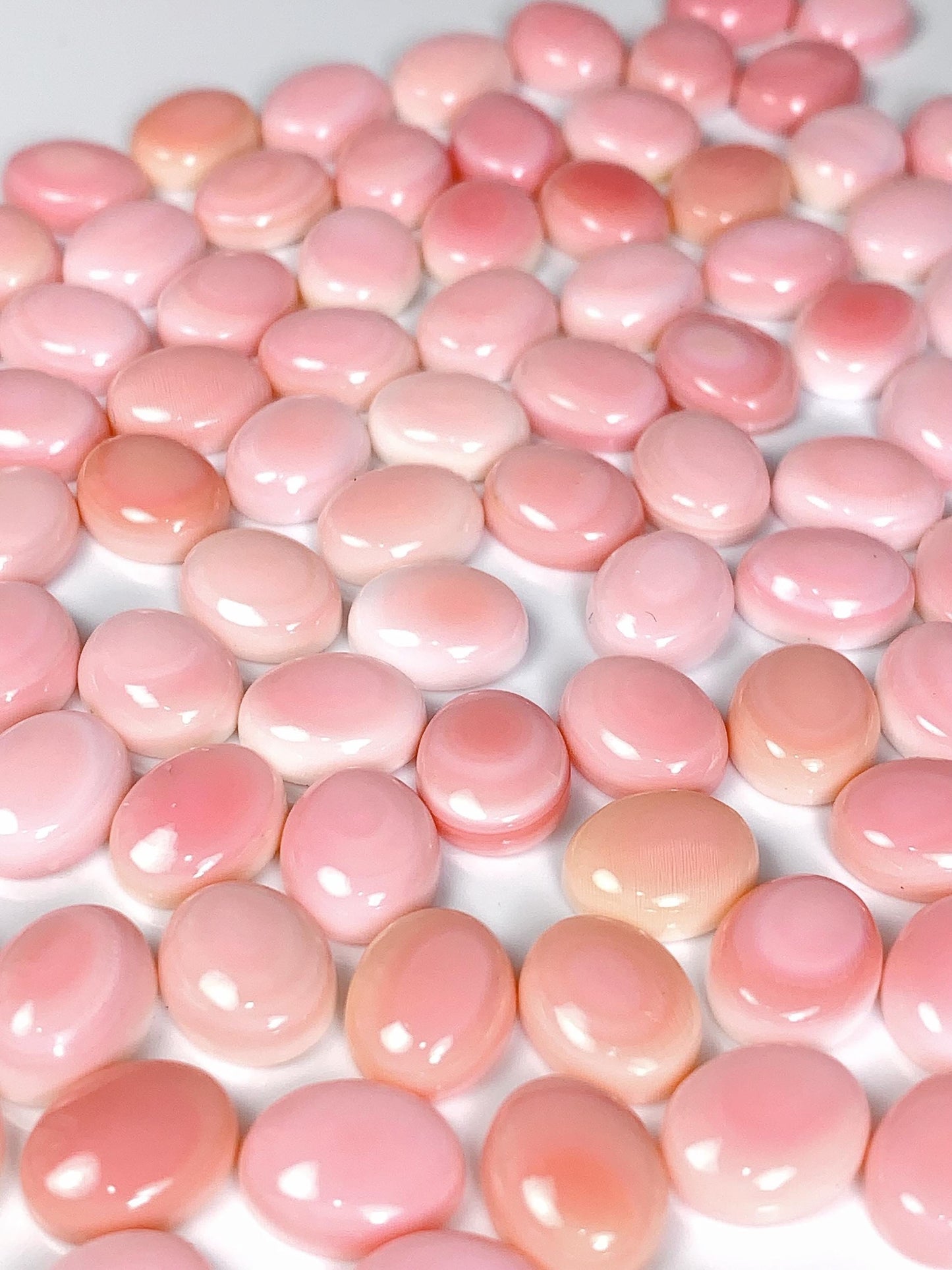 10mmx8mm  Genuine Natural Queen conch  Loose Gems Gemstone  Smooth Round cut