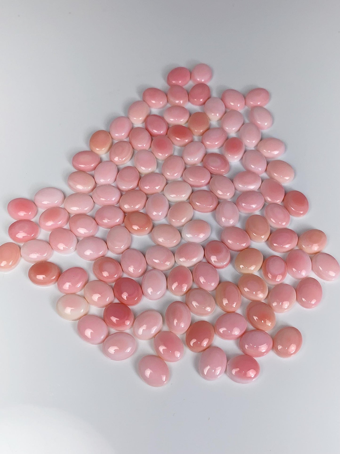 10mmx8mm  Genuine Natural Queen conch  Loose Gems Gemstone  Smooth Round cut