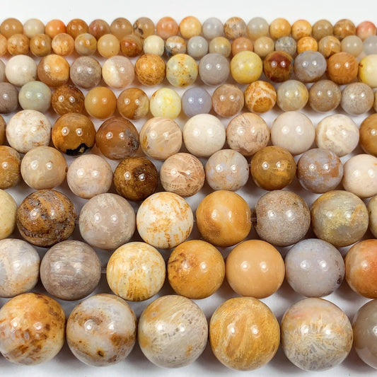 Natural Gold Yellow Fossil Coral Beads: Smooth Round Gemstone Strand
