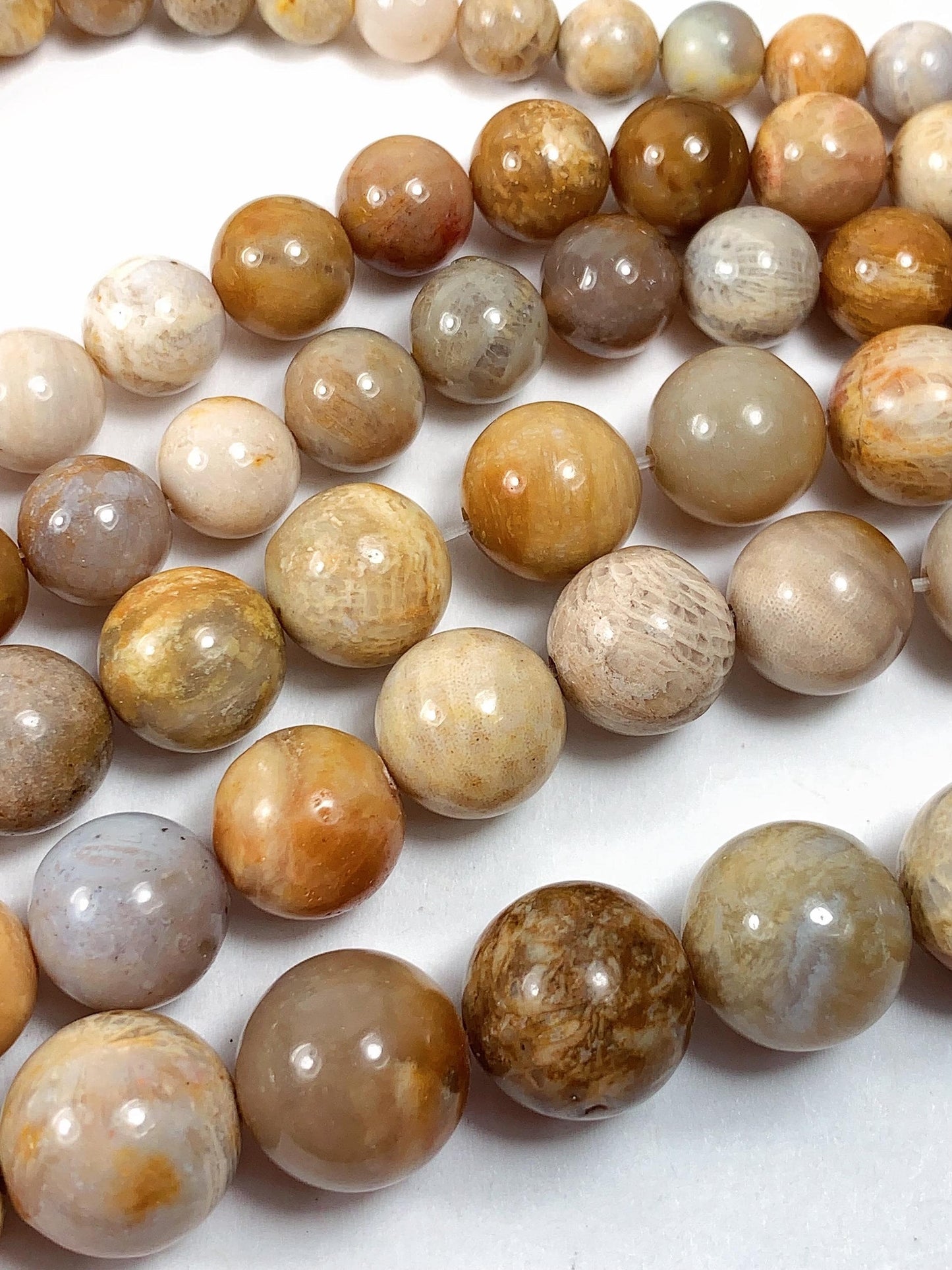 Natural Gold Yellow Fossil Coral Beads: Smooth Round Gemstone Strand