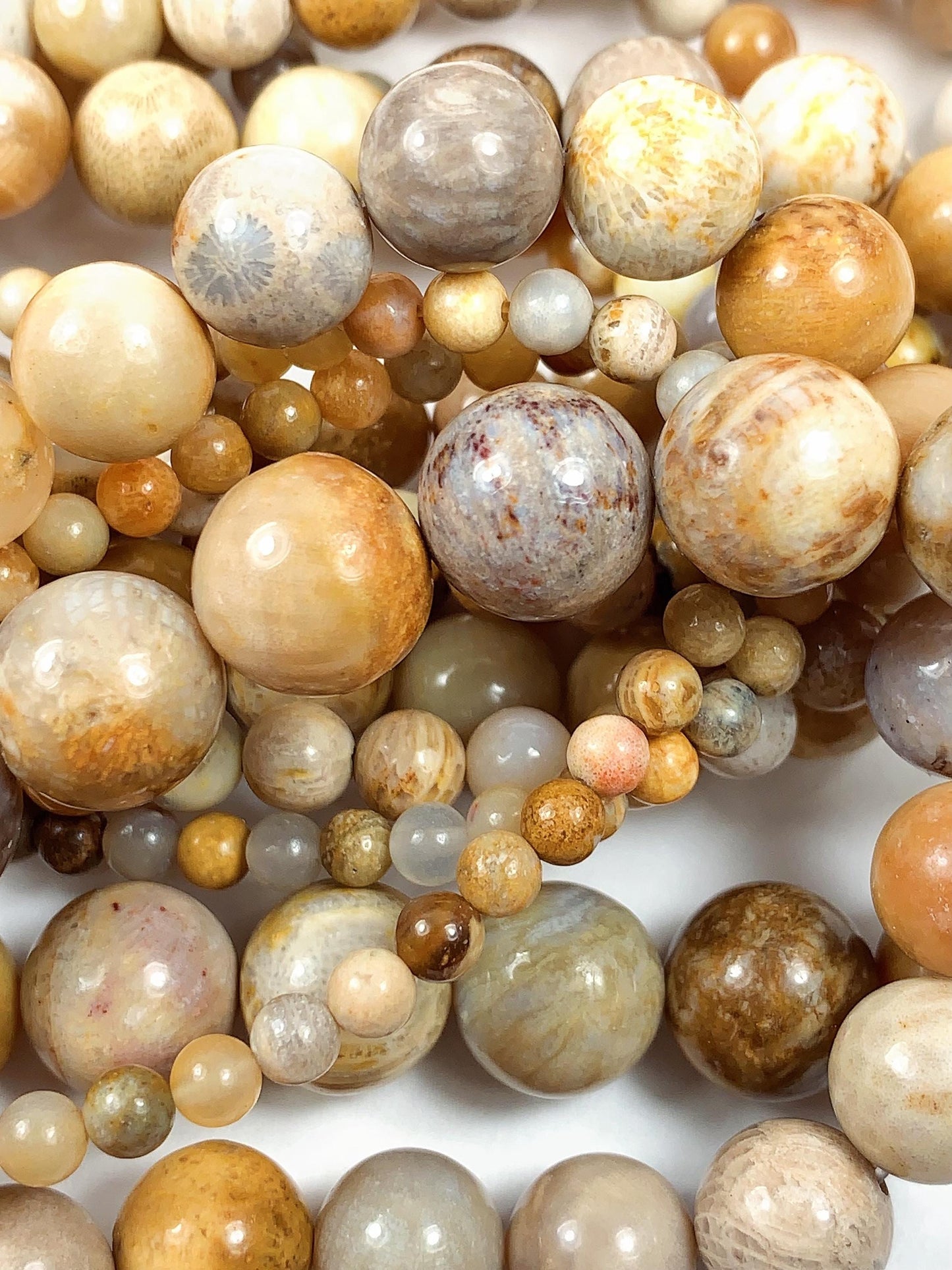 Natural Gold Yellow Fossil Coral Beads: Smooth Round Gemstone Strand