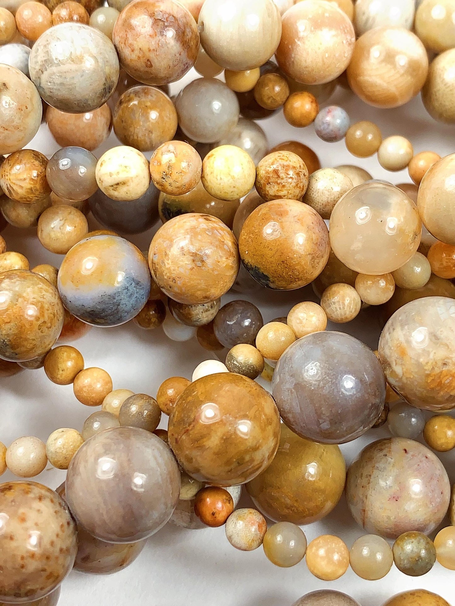 Natural Gold Yellow Fossil Coral Beads: Smooth Round Gemstone Strand