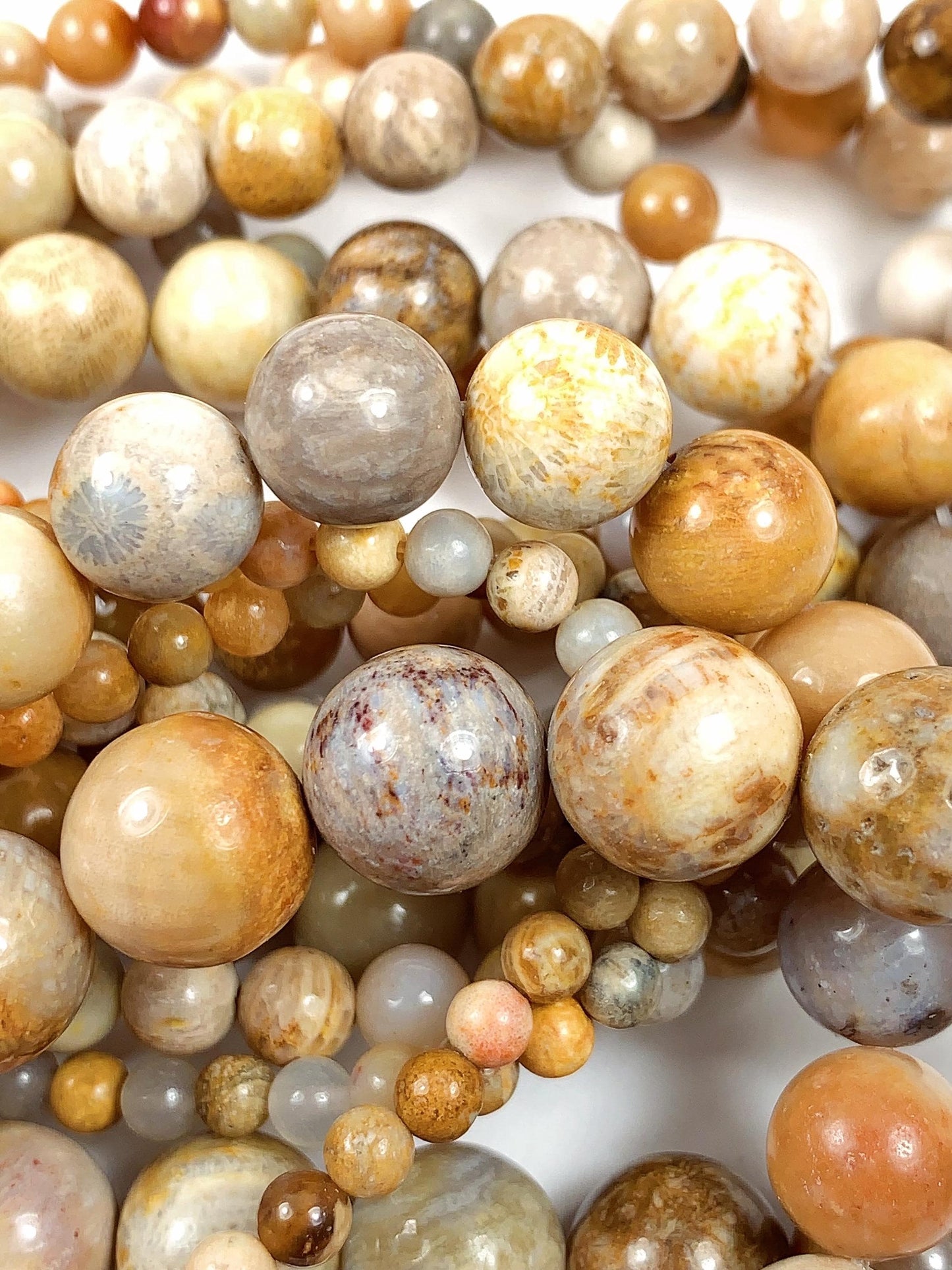 Natural Gold Yellow Fossil Coral Beads: Smooth Round Gemstone Strand