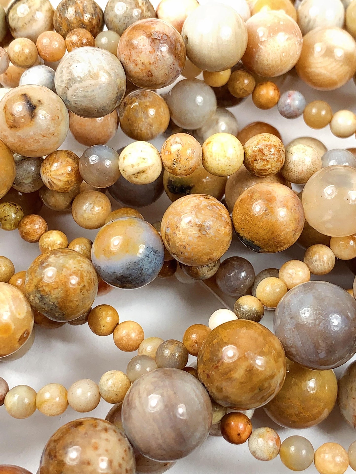 Natural Gold Yellow Fossil Coral Beads: Smooth Round Gemstone Strand