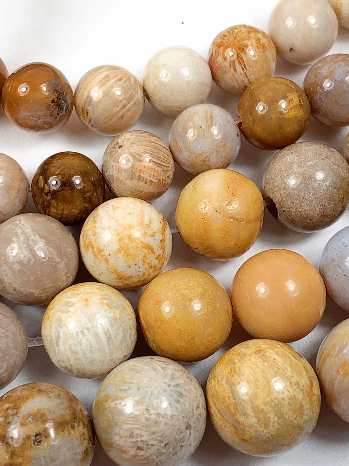 Natural Gold Yellow Fossil Coral Beads: Smooth Round Gemstone Strand