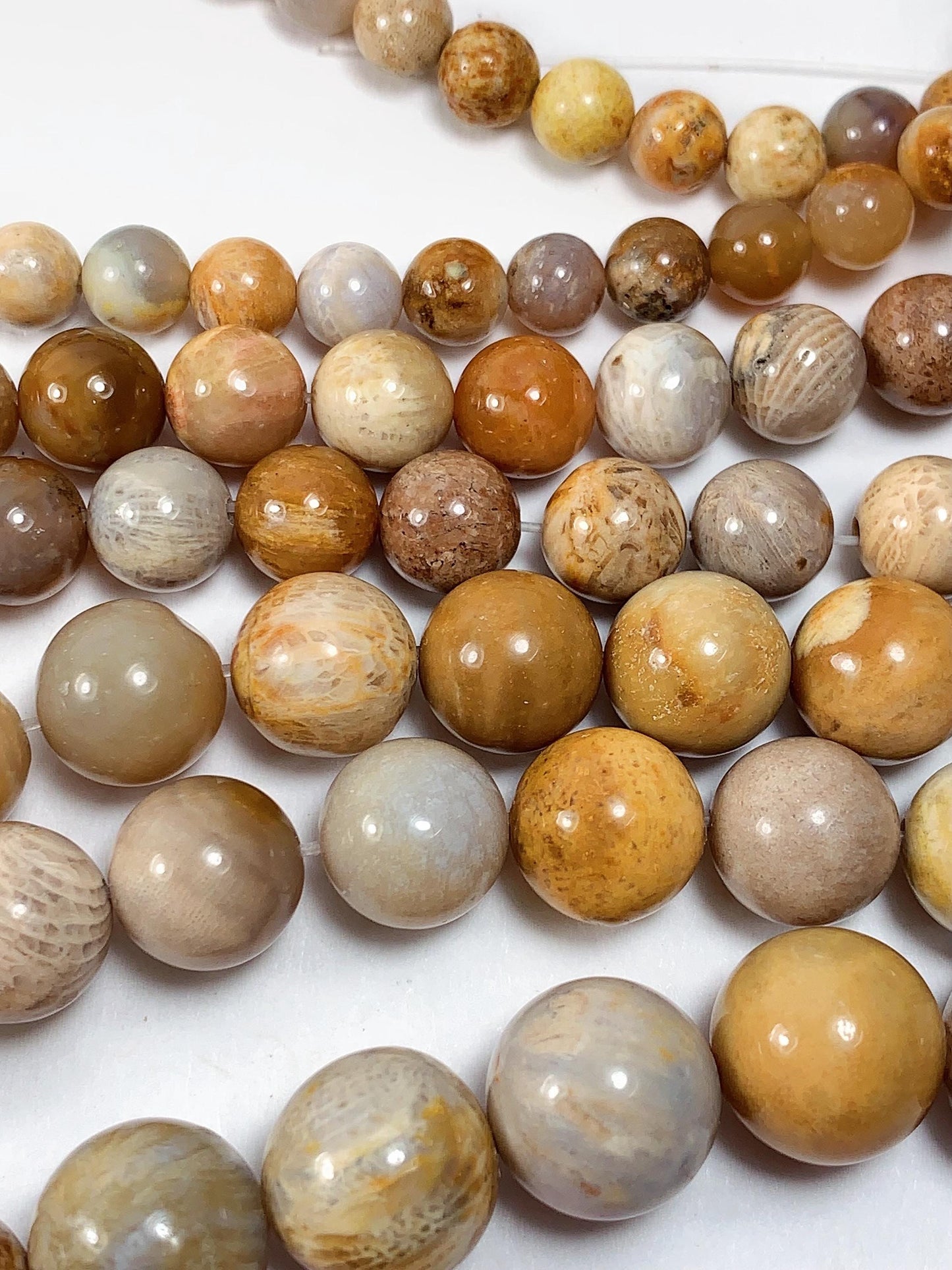 Natural Gold Yellow Fossil Coral Beads: Smooth Round Gemstone Strand